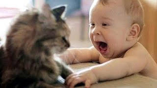 Cat Playing with Baby  Best of Cute Cats Love Babies Compilation [upl. by Kathryne]