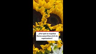 ¿Por qué se regalan flores amarillas el 21 septiembre [upl. by Nerreg]