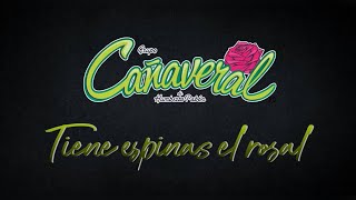 Tiene espinas el RosalKaraoke  Cañaveral [upl. by Jos650]