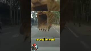 This is how an excavator joins the road trucks trailers truckers trucking truckdriver [upl. by Enetsirhc]