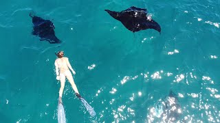 Swimming with MANTA RAYS in the Marquesas Islands [upl. by Kizzie]