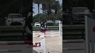 I’m beefing with the course designers horse equestrian viralshort viralvideo viralshorts [upl. by Awjan]