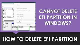 How to Delete EFI Partition in Windows 10  Windows 11 [upl. by Dranoel]