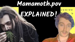 Plagued Moths LOLCOW Cycle EXPLAINED [upl. by Nolaj]