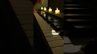 Pehle Bhi Main  Piano Cover  Animal 🇮🇳 [upl. by Chiang721]