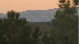 Mirador Astronómico Cardeña Vivir Los Pedroches Córdoba [upl. by Acisset]