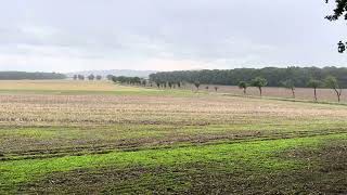 The Battle of Bautzen 4 The Windmill Hill at Gleina [upl. by Ric295]