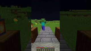 How to Get Rid of Zombies in Minecraft😂 shorts [upl. by Dnalram]