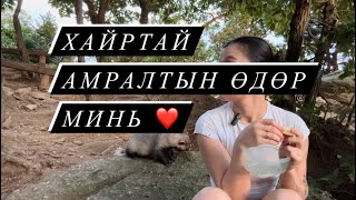 Ойд баавгай шиг юмтай таарсан нь ❤️ Амралтын өдөрөө байгаль эхтэйгээ🫂 [upl. by Nnylirret]