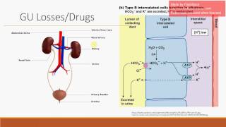 The Truth about Lactic Acid [upl. by Katonah647]