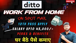 DITTO  WORK FROM HOME  12TH PASS JOB  NO INVESTMENT JOB  FRESHERS JOB  EARN ONLINE jobs2024 [upl. by Eskill]