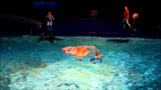 Dolfinarium Aqua Bella show in DolfijnDoMein [upl. by Edualc]