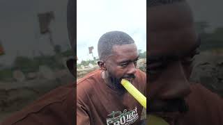 Chewing Sugarcane ASMR SHORTS viral [upl. by Sagerman788]