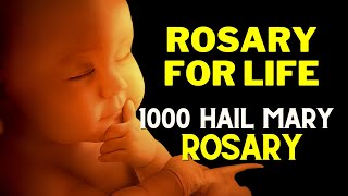 Rosary for Life 1000 Hail Marys  ProLife Rosary  1000 Hail Mary Rosary [upl. by Mohorva]