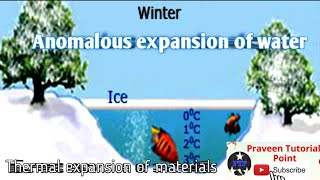 Anomalous expansion of water  aquatic animals survive  Thermal expansion of materials [upl. by Paugh]