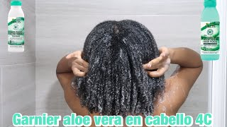 PONIENDO A PRUEBA GARNIER ALOE VERA  Productos de garnier para cabello afro  Rihanel [upl. by Aniras195]