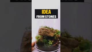 Idea from stones  terrarium howtobecomeadigitalcreator design [upl. by Annoyik]