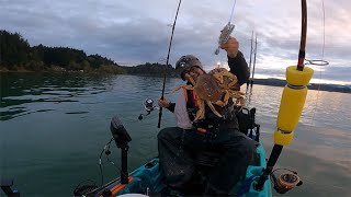 Catching Big Crabs with Fishernomics Crab Snares  Oregon Dungeness Crabbing [upl. by Robillard419]