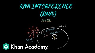 RNA InterferenceMechanism  Biotechnology and its Applications  Class XII  Biology  Khan Academy [upl. by Bezanson885]