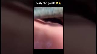 Zesty ahh gorilla rizz shorts funny memes reels food [upl. by Retrop]