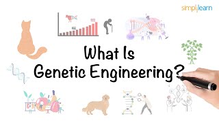 Genetic Engineering in 6 minutes  What Is Genetic Engineering  Genetics  Simplilearn [upl. by Spiro72]