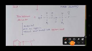 Edman Degradation Peptide Sequencing csirnet gatexl2023 [upl. by Tharp355]