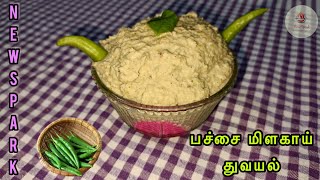 Pachai Milagai Thuvayal Recipe in Tamil 💚  New Spark Kitchen [upl. by Johnath]