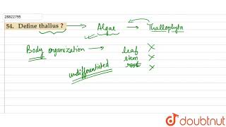Define thallus [upl. by Letrice97]