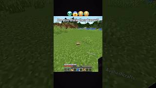 Yo Yo Steve Singer 🎤  shorts minecraft [upl. by Linnette]