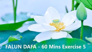 FALUN DAFA 60 MINS Music for Exercise 5 relaxingmusic meditationmusic [upl. by Weiser594]