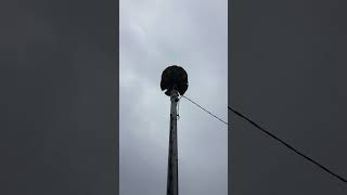 TORNADO SIREN TEST FEDERAL SIGNAL 3T22A CHURCHILL ELEMENTARY SCHOOL ATTACK FOR 2 MINUTES MINNESOTA [upl. by Akinad]