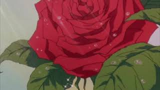 lil skies  red roses  slowed  reverb [upl. by Hacceber]