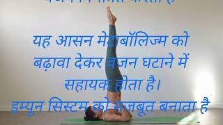 Sarvangasana Benefits alokdasmotivational motivation yoga viral trending [upl. by Levison]