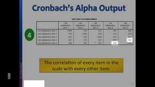 Reliability test Interpret Cronbachs alpha output in SPSS [upl. by Iba]