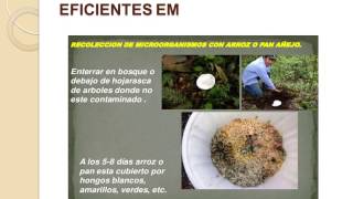 ELABORACIÓN DE ABONOS ORGANICOS con microorganismos eficientes [upl. by Aicirtel]