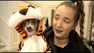 My Dogs Try On Halloween Costumes 2 [upl. by Dolores]