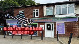 BALANCED SELECTION OF MARINE AND FRESHWATER  Maidenhead Aquatics Preston Shop Tour [upl. by Gabe]