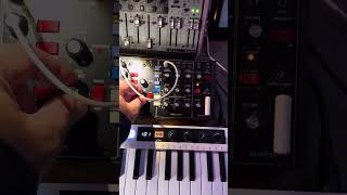 Behringer Model D random arpeggiator on an Arturia Keystep 37 [upl. by Ravens]