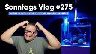 💦 Der Meerwasseraquaristik Sonntags Vlog EP 275 💦 Probleme im Pico Tank  Viele Sachen gekommen  💦 [upl. by Ogilvy]