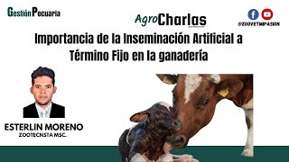 Importancia de la Inseminación Artificial a Término Fijo en la ganadería [upl. by Gardiner]