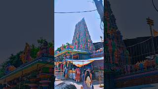 Sri Peddamma thalli Temple Jubilee Hills peddammathalli jubileehills hyderabad temple shortfeed [upl. by Anavas]