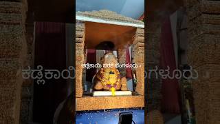 Kadlekayi Parashe Bangaluru  Raitara suggi habba  at Malleshvaram  sukratloka [upl. by Eenehs]