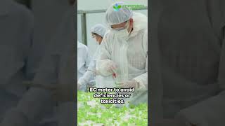 Top Common Challenges in Hydroponic Farming and How to OvercomeHydroponicsTown [upl. by Adnwahsor]