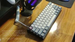 Gateron Beer Lubed Sound Test  Maxfit61 Alucase Tofu60 Style [upl. by Rimidalb235]