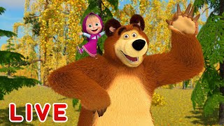 Masha and the Bear 🎬💥 LIVE STREAM 💥🎬 Best cartoons for children [upl. by Dunseath]