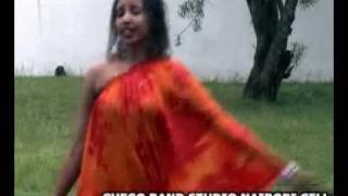 Sagal Arts Heestii GUDI New Video 2011flv [upl. by Siraved319]