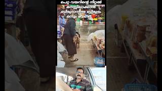 വിശപ്പിന്റെ വിലയറിയുന്നവൻ ❤️ dog viralvideo youtubeshorts shortsfeed reaction [upl. by Gies251]