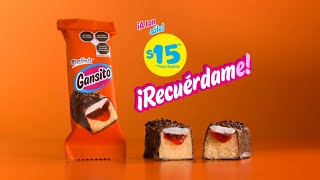 Gansito Marinela ¡A sólo 15 pesos [upl. by Streeter154]