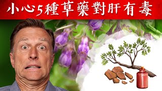 小心5種危險草藥對肝臟有毒自然療法柏格醫生 Dr Berg [upl. by Eelano]