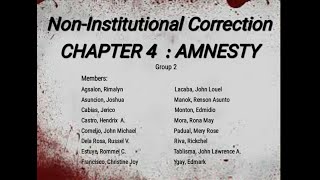 GROUP 2 NONINSTITUTIONAL CORRECTION quotAMNESTYquot [upl. by Adni]